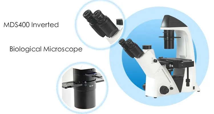 Inverted Microscope with Phase Contrast Method for sale