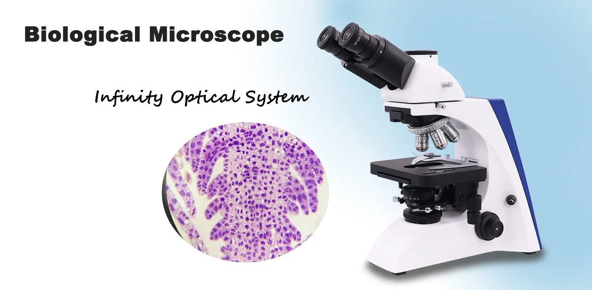 trinocular biological microscope for sale trinocular biological microscope for sale